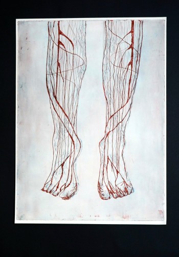 nogi naczynia krwionośne